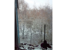 23 ������� 2017.jpg