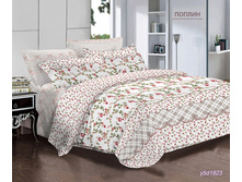 ���������� ����� �� ������� ���.RP-880.jpg