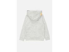 20110130119   Zebra        (    ).jpg