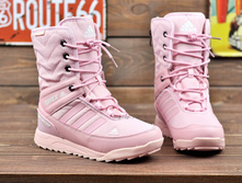 ADI-1225-17, 1580.������