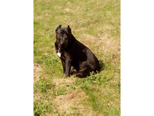 IMG 20160508 145726.jpg