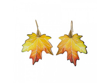 ������ ���� �����������