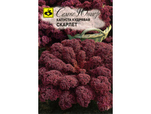 ������� �������� ������� �������� ����� 20,20 ���.. [���.��000009732]