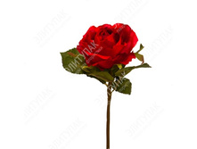 ���� ����������� 27 �� 1 �� (�������) 120 84�.jpg