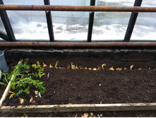 IMG 20171217 104229106.jpg