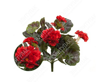 ���� ������ 30 �� 1 �� (�������) 251 176�.jpg