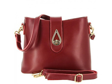 541 d red ���� 1870 �����.����.jpg