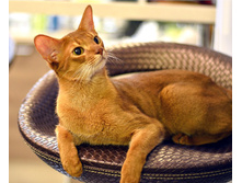 54b9123b0f19c dsc4514.jpg