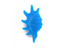 ����� Strombidae �������