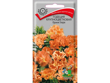 ������� ����� ����� �����������. 0,2� ����� 9,00���.[���.3004389]