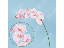 ������� ���������� ������� 95 �� 1 �� (����-�������) 270 189�.jpg