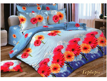 ���������� ����� �� ������� ���.RP-679.jpg