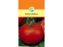 ����� ���� F1