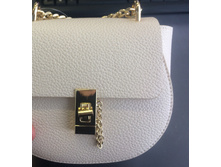 20206100062   Buttercup          .jpg