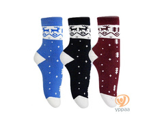 ����� �������� ����� Parasoks (N2D002). ���� �������.