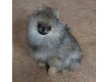 ������� 009.JPG