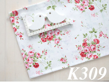 K309.jpg