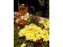 ������� ������