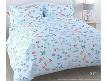 ���� 814.jpg