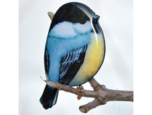 ����� �������