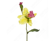 ������� ������ 37 �� 1 �� (��̣���) 105 74�.jpg