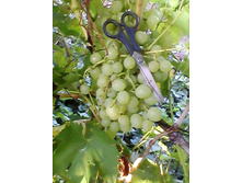 ����� �������� � � � � .