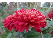 ��������� ���������� "����� ��������"