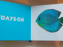 IMG 20171210 092402 610.jpg