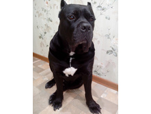 IMG 20160120 182235.jpg