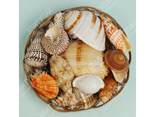 ����� ������� ���� ���� (24 ��) 760 457�.jpg