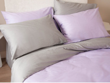 Silver-Lavanda Light