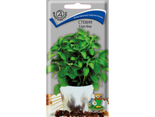 ������ ����ԣ�� 10�� ����� 38,40���.[���.3004057]