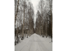 P 20171209 093747.jpg