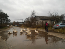 P 20171118 084659.jpg