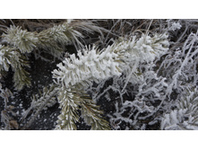 2017-11-28 15.18.09 cr.jpg