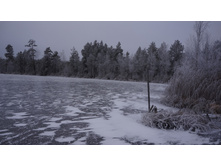 ����� �������