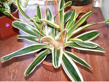 ����� ���������- ������ �������� �������� ...