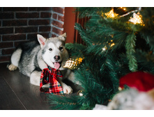 ������� №1