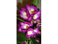 ���������� ����� �������