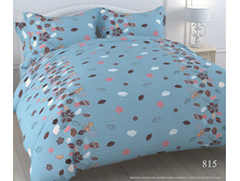 ������������ 815.jpg