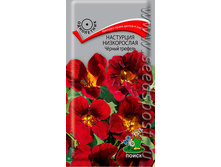 ��������� ������ ������� 0,5� �� 9,00���.[���.��000005219]