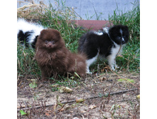 ����� � �����.JPG