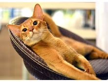 54b9124e80c1e dsc4529.jpg