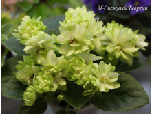 �-������� �������3.jpg