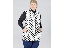 2/17-2070�� ����� �������