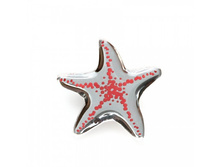 ����� Asteriidae �������/������