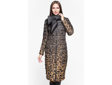 17210149 leopard degrade (2).jpg