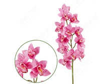 ������� ��������� 87 �� 1 �� (�������) 474 332�.jpg