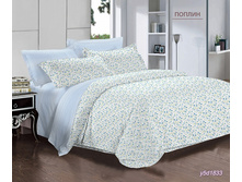 ���������� ����� �� ������� ���.RP-894.jpg