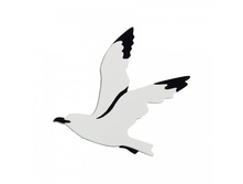 ����� �����